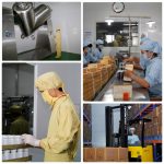 điều chế potio