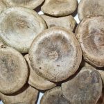 dược liệu được phơi sấy