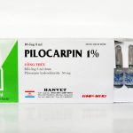 pilocarpin hydroclorid 2%