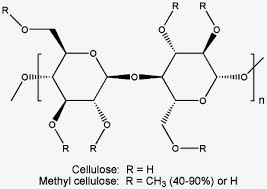 methyl cellulose