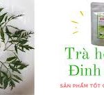 cốm tan đinh lăng