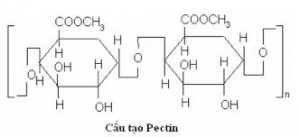 cấu tạo pectin