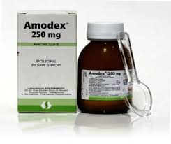 bột pha siro amodex
