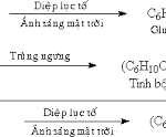 định lượng tinh bột bằng phương pháp tạo phức