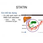 thuốc ức chế statin