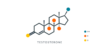 Testosterol- formula for men