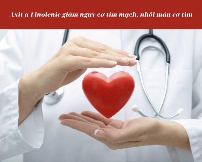 Tăng axit α-linolenic có liên quan đến việc giảm nguy cơ nhồi máu cơ tim